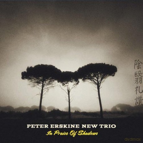 Erskine Peter New Trio: In Praise Of Shadows [CD]