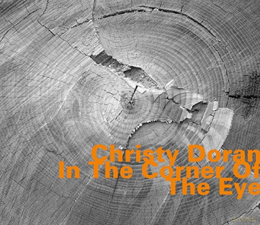 Christy Doran Ray Anderson: In The Corner Of The Eye [CD]