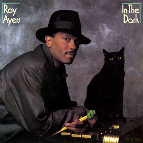 Ayers Roy: In The Dark (Bonus Tracks Edition) [CD]