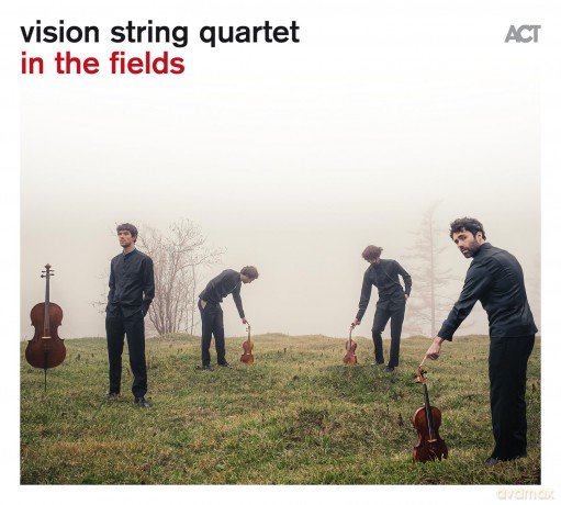 Vision String Quartet: In The Fields [CD]