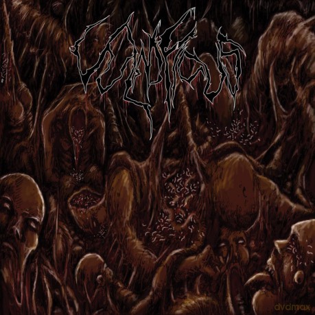 Vulnificus: Inclination [CD]