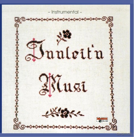 Innleit'n Musi: Instrumental [CD]