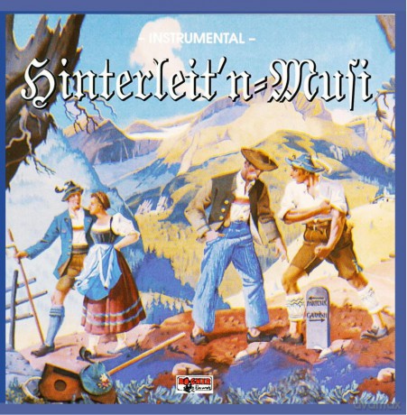 Hinterleit'n Musi/Garmischer D: Instrumental [CD]