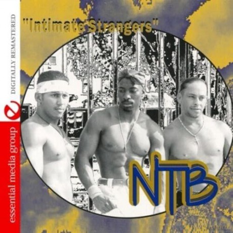 Ntb: Intimate Strangers [CD]
