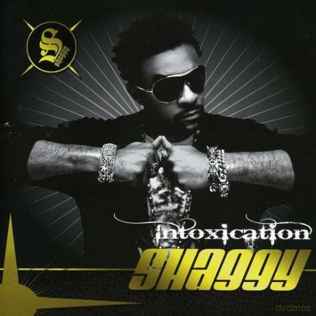 Shaggy: Intoxication [CD]