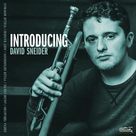 David Sneider: Introducing [CD]