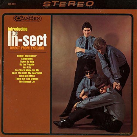 In-Sect: Introducing The In-Sect Direct From England [CD]