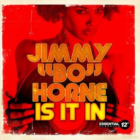 Horne Jimmy Bo: Is It In [CD]