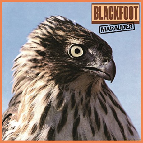 Blackfoot: Marauder [Winyl]