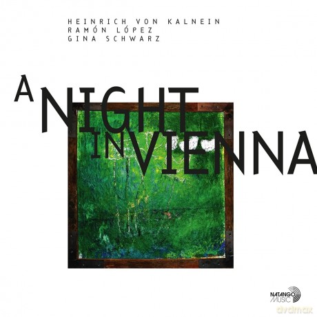Kalnein Heinrich Von And Lopez Ramon And Schwarz Gina: A Night In Vienna [Winyl]