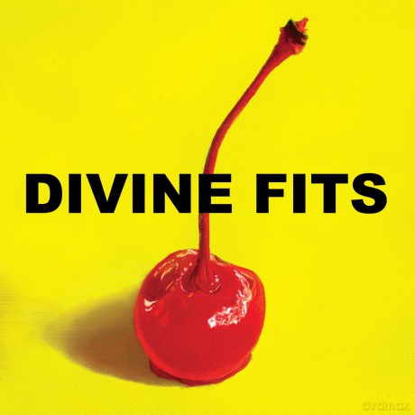 Divine Fits: A Thing Called Divine Fits [Winyl]