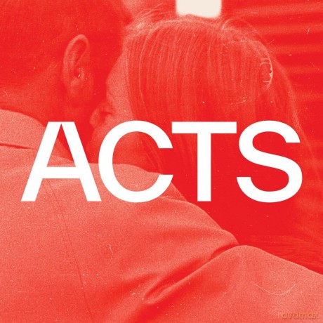Tiger Lou: Acts (Limited Bonus) [2xWinyl]