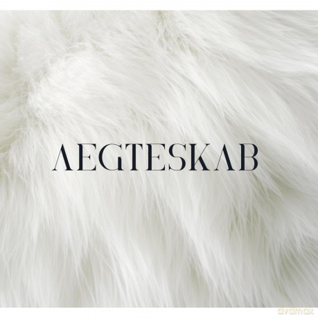 Aegteskab-Aegteskab: Aegteskab-Aegteskab [Winyl]
