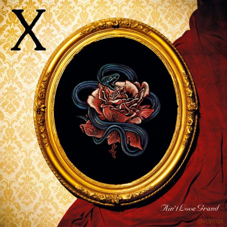 X.: Ain't Love Grand [Winyl]