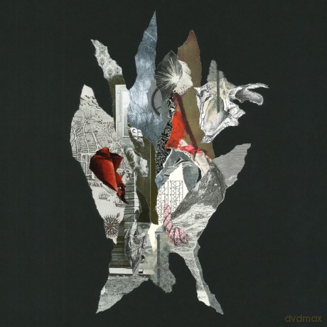 Alas De Liona-Gravity Of Gold: Alas de Liona-Gravity of Gold [Winyl]