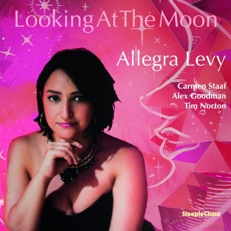 Allegra Levy-Looking At The Moon: Allegra Levy-Looking At The Moon [Winyl]