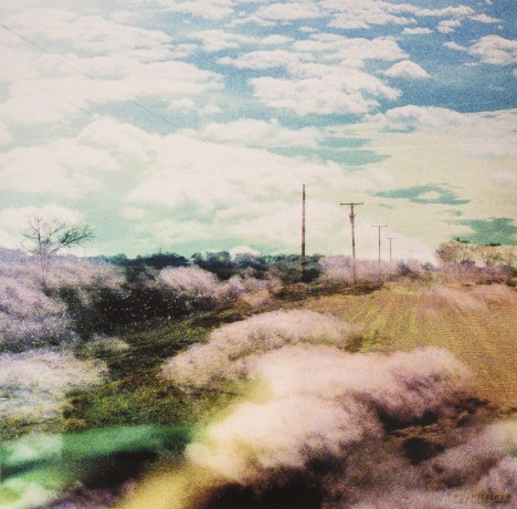World Is A Beautiful Place: Always Foreign (Trans Lt Blue) [Winyl]