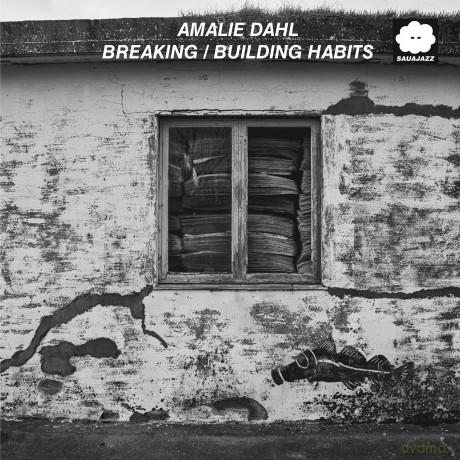 Amalie Dahl-Breaking: Amalie Dahl-Breaking/Building Habits [Winyl]