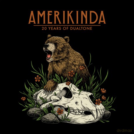 Amerikinda: 20 Years Of Dualtone [2xWinyl]