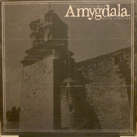 Amygdala-Our Voices Will Soar Forever: Amygdala-Our Voices Will Soar Forever [Winyl]