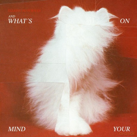 Talking To Turtles: And What's On Your Mind [Winyl]