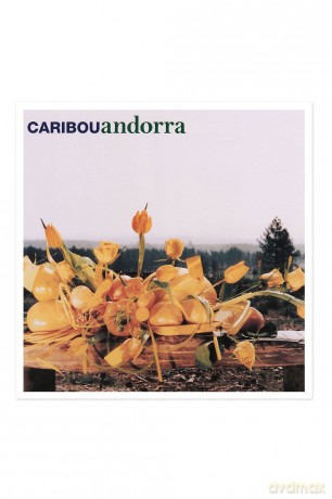 Caribou: Andorra [Winyl]