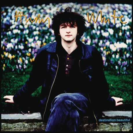 Andy White-Destination Beautiful: Andy White-Destination Beautiful [Winyl]
