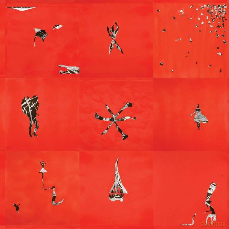 Animal Collective-Hollindagain: Animal Collective-Hollindagain [Winyl]