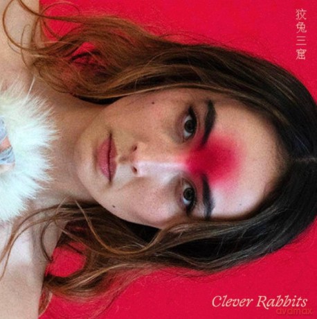 Ann Liu Cannon-Clever Rabbits: Ann Liu Cannon-Clever Rabbits [Winyl]