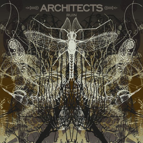 Architects: Architects-Ruin (Pic.) [Winyl]