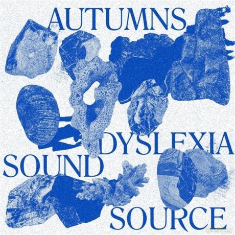 Autumns-Dyslexia Sound Source: Autumns-Dyslexia Sound Source [Winyl]