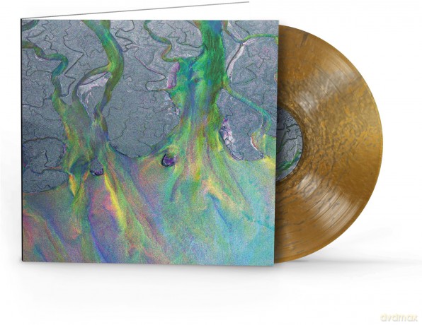 Alt-J: Awesome Wave (Syeor26) [Winyl]