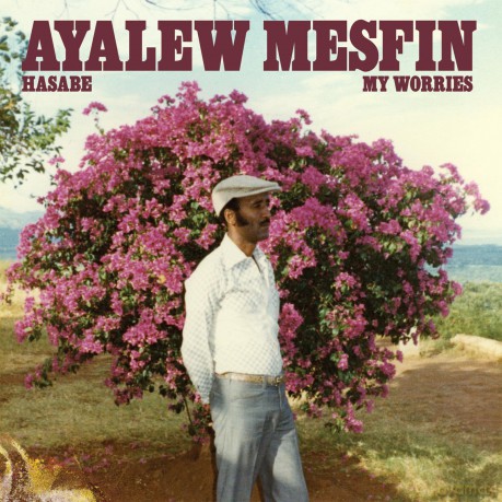 Ayalew Mesfin-Hasabe (My Worries): Ayalew Mesfin-Hasabe (My Worries) [Winyl]