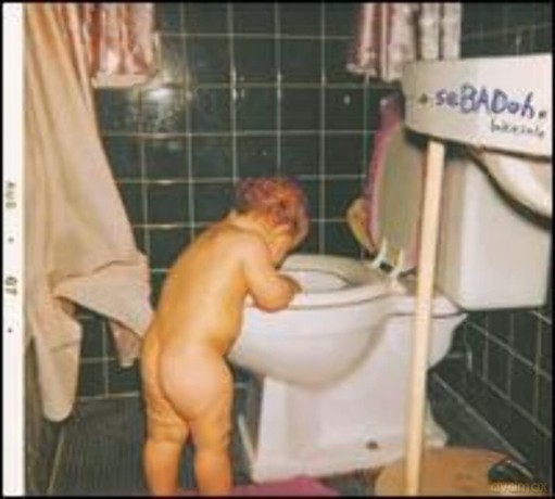 Sebadoh: Bakesale [Winyl]