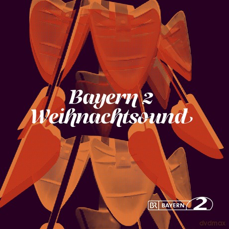 Bayern 2 Weihnachtsound [2xWinyl]