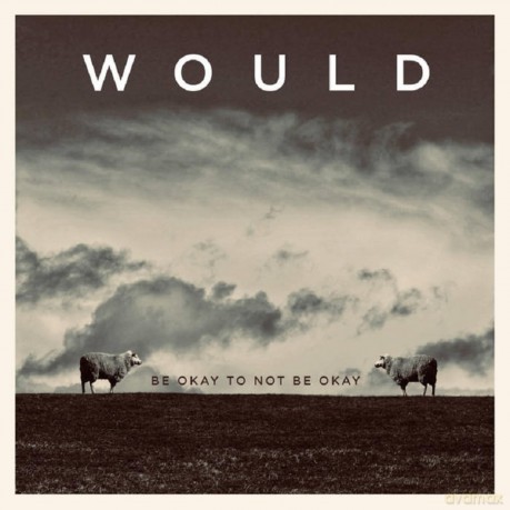 Would: Be Okay To Not Be Okay [Winyl]