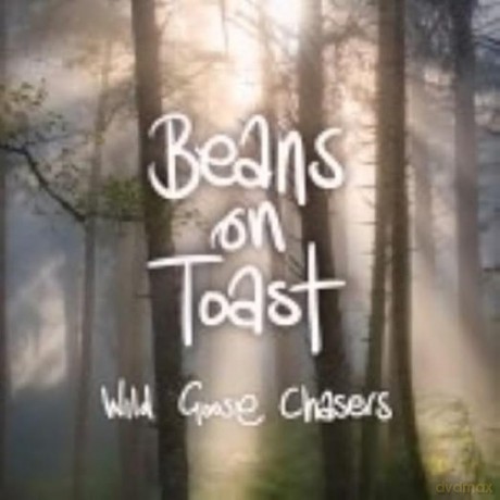 Beans On Toast-Wild Goose Chasers (Picture Disc): Beans On Toast-Wild Goose Chasers (Picture) [Winyl]