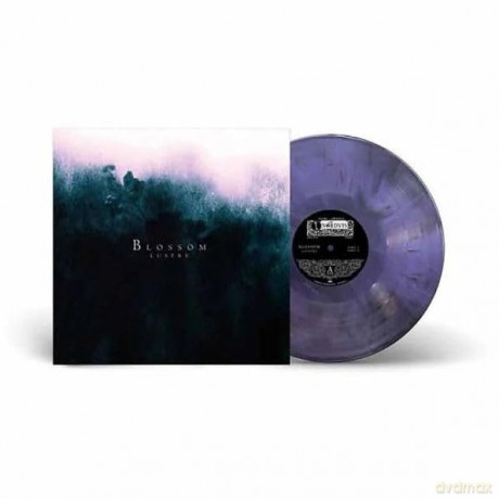 Lustre: Blossom (Purple/Black Marble) [Winyl]