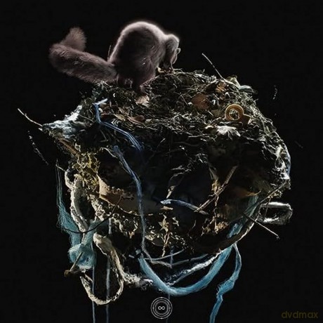 Bolt Ruin-Ehkta: Bolt Ruin-Ehkta [Winyl]