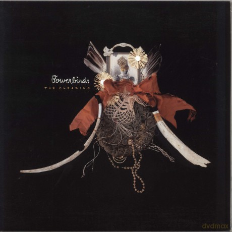 Bowerbirds-The Clearing: Bowerbirds-The Clearing [Winyl]