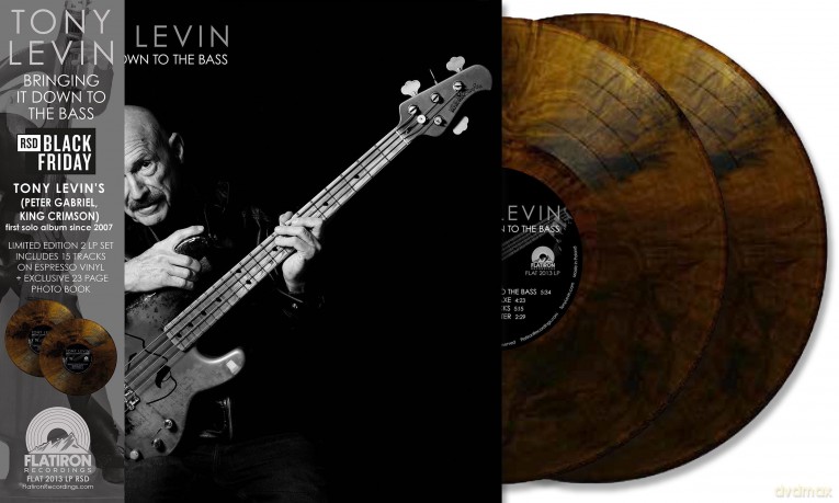 Levin Tony: Bringing It Down To The Bass [2xWinyl]