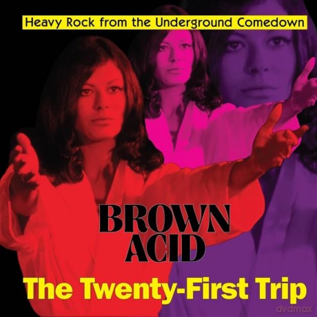 Brown Acid - The Twenty-First Trip [Winyl]