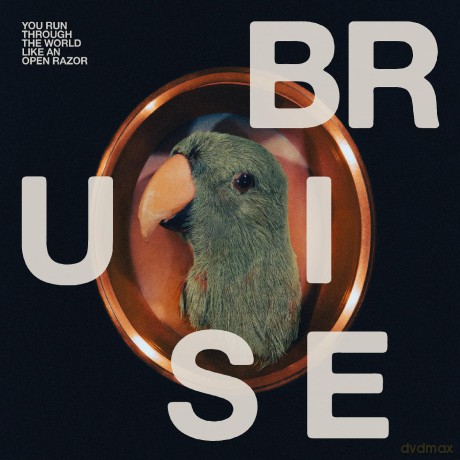 Bruise Blood-You Run Through The World Like An Open Razor: Bruise Blood-You Run Through The World Like An Open Razor [Winyl]