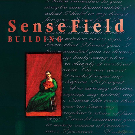 Sense Field: Building [Winyl]