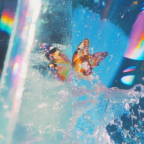 Daphni: Butterfly [2xWinyl]