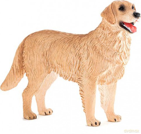 Pies rasy Golden Retriver ANIMAL PLANET