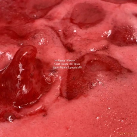 Tillmans Wolfgang: Can't Escape Into Space (Honey Dijon Rmx [Winyl]