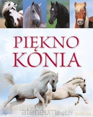 Piękno konia [KSIĄŻKA]