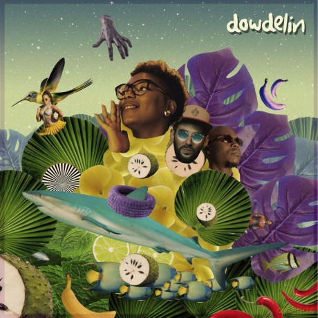 Dowdelin: Carnaval odyssey [Winyl]