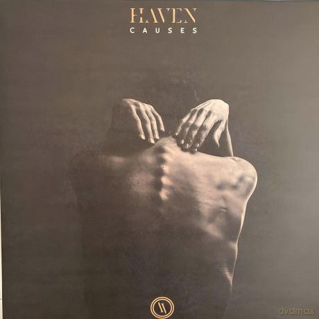 Haven: Causes [Winyl]